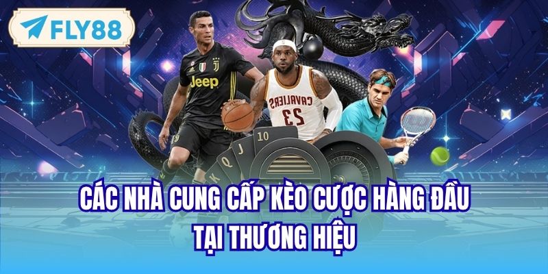 Các nhà cung cấp kèo cược hàng đầu tại thương hiệu