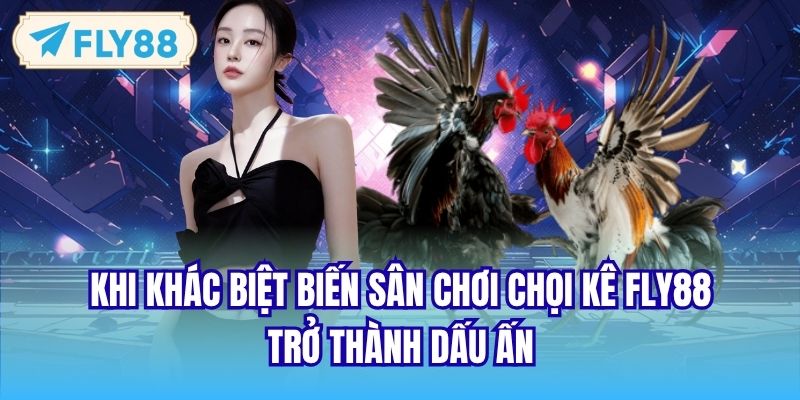 Khi khác biệt biến sân chơi chọi kê FLY88 trở thành dấu ấn