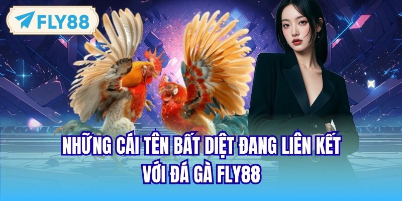 Những cái tên bất diệt đang liên kết với Đá gà FLY88