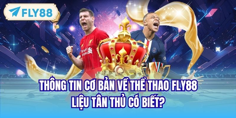 Thông tin cơ bản về thể thao Fly88 liệu tân thủ có biết?